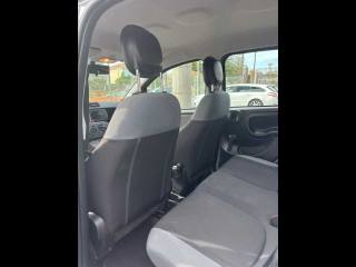 FIAT Panda usata 17