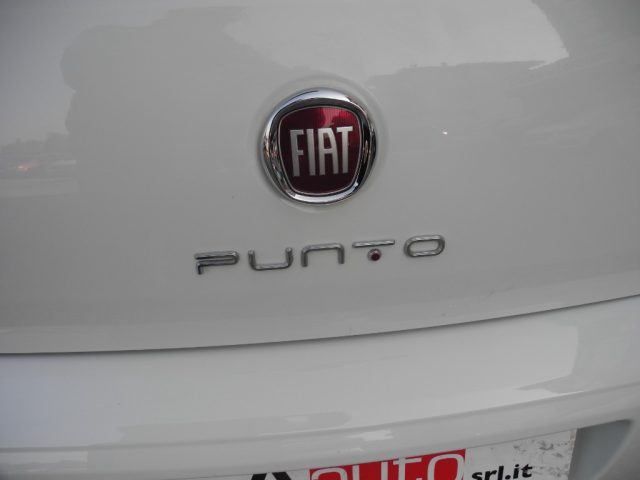 FIAT Punto usata 50
