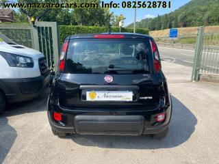 FIAT Panda usata, con Volante in pelle