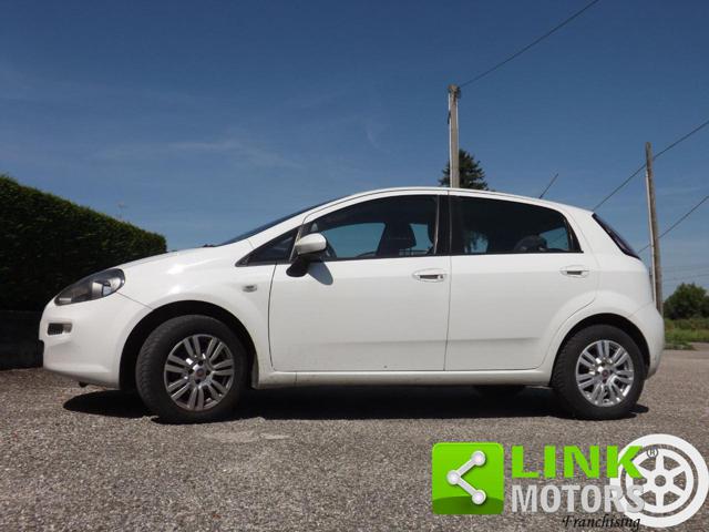 FIAT Punto usata 55