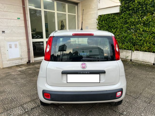 FIAT Panda usata 8