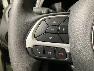 JEEP Renegade usata 16