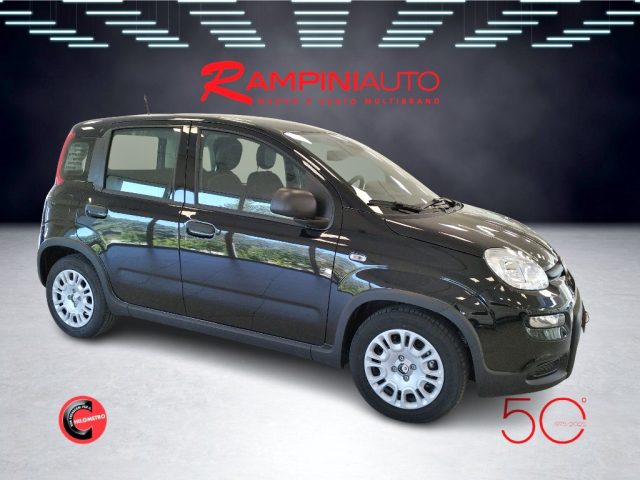 FIAT Panda usata 4