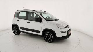 FIAT Panda usata 24