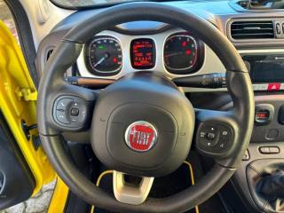 FIAT Panda Cross usata, con Chiusura centralizzata