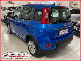 FIAT Panda usata, con Alzacristalli elettrici