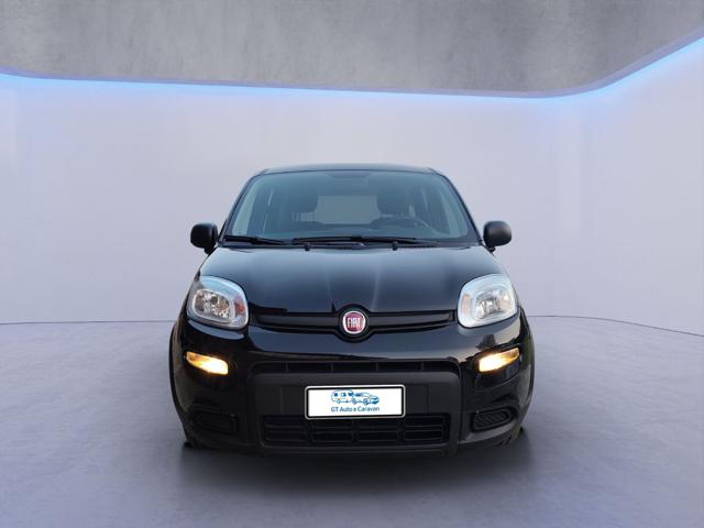 FIAT Panda usata, con Airbag Passeggero