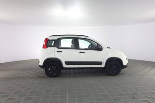 FIAT Panda usata 2
