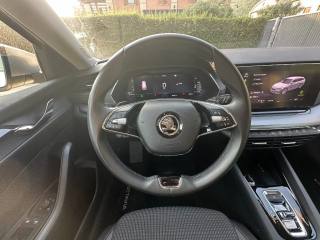 SKODA Octavia usata, con Controllo trazione