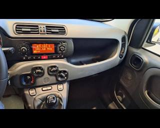 FIAT New Panda usata 6