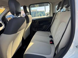 FIAT Panda usata, con Climatizzatore