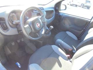FIAT Panda usata 17