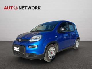 FIAT Panda usata, con Airbag Passeggero
