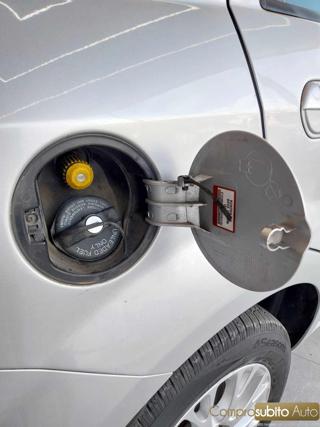 FIAT Punto Evo usata 19