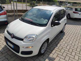 FIAT Panda usata 13