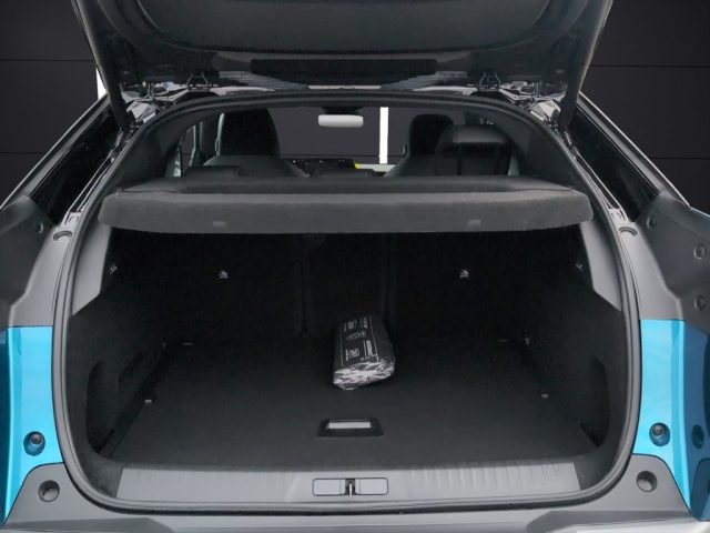 PEUGEOT 3008 usata, con Climatizzatore