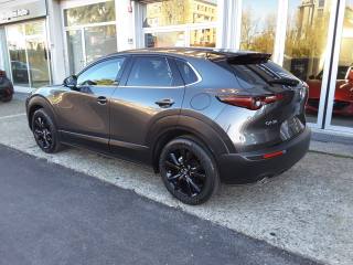 MAZDA CX-30 usata, con Boardcomputer