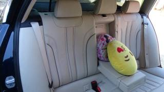 BMW 530 usata 73