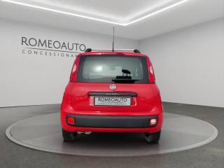 FIAT Panda usata, con Autoradio