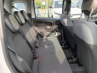 FIAT Panda usata 18