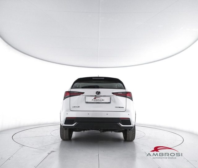 LEXUS NX 300h usata 5