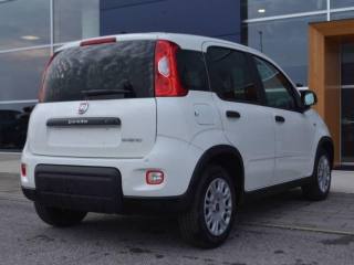 FIAT Panda usata, con Airbag