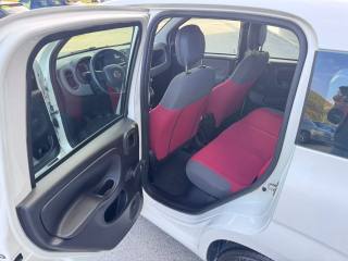 FIAT Panda usata 17