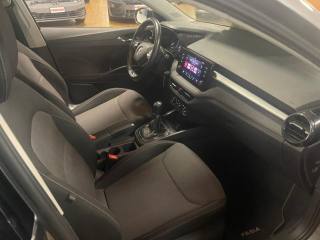 SKODA Fabia usata, con Cruise Control