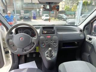 FIAT Panda usata, con Boardcomputer