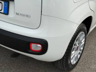 FIAT Panda usata 15