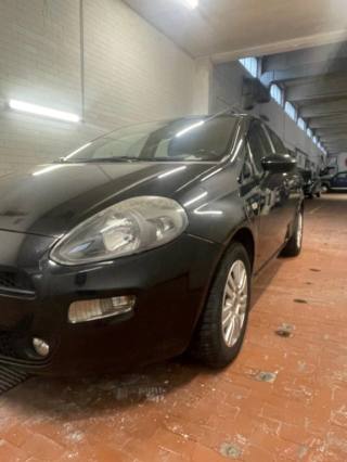 FIAT Punto usata, con Bracciolo