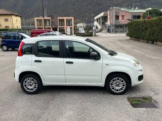 FIAT Panda usata, con Airbag laterali