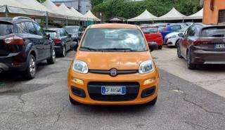 FIAT Panda 1.0 FireFly BENZINA/Hybrid/GPL City Life