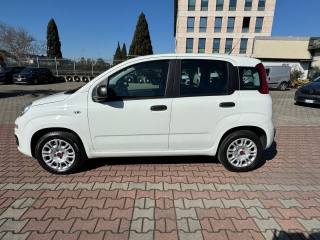 FIAT New Panda usata, con Airbag laterali
