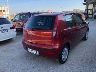 FIAT Punto usata, con Chiusura centralizzata