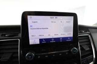 FORD Tourneo Custom usata 10