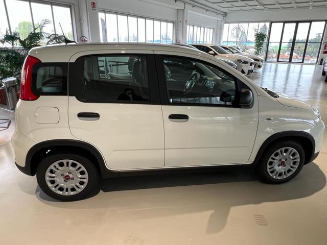 FIAT Panda usata, con Chiusura centralizzata