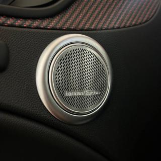 ALFA ROMEO Stelvio usata, con Leve al volante