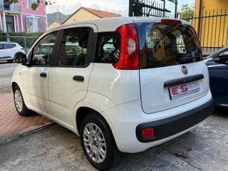 FIAT Panda usata, con Controllo trazione