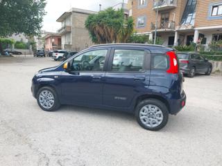 FIAT Panda usata, con Alzacristalli elettrici