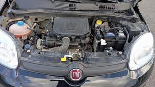 FIAT Panda usata 21