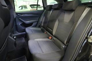 SKODA Octavia usata, con Controllo trazione