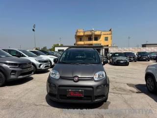 FIAT Panda usata, con Airbag Passeggero