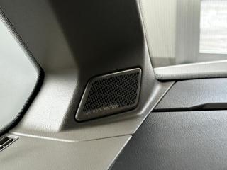 VOLKSWAGEN Multivan usata 51