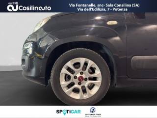 FIAT Panda usata, con Vivavoce