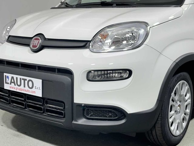 FIAT Panda usata 28