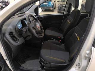 FIAT Panda usata, con Servosterzo