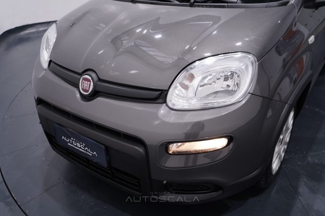 FIAT New Panda usata, con Bluetooth