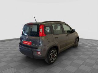 FIAT Panda usata 4