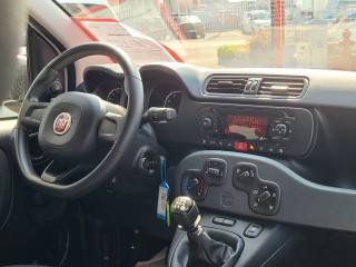FIAT Panda usata 13